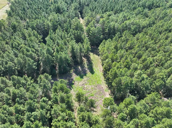 $899,750 | 0 3 3 Notch Road, Huntsville, TX 77340