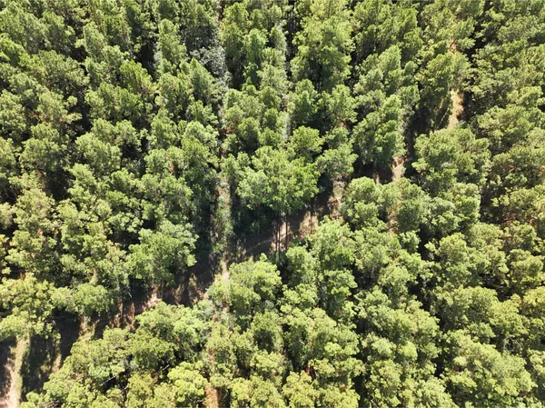$899,750 | 0 3 3 Notch Road, Huntsville, TX 77340