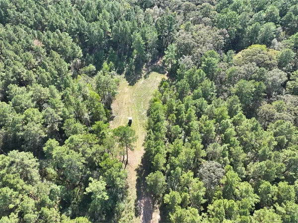 $899,750 | 0 3 3 Notch Road, Huntsville, TX 77340