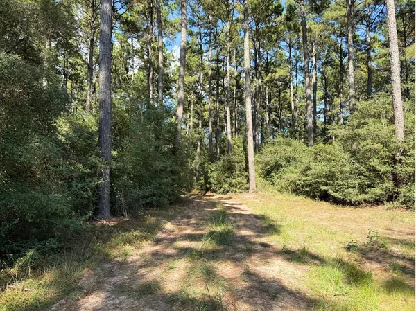 $899,750 | 0 3 3 Notch Road, Huntsville, TX 77340