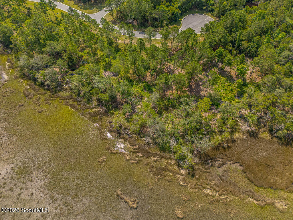 Lot 98 Wards Way Waverly, GA 31565 - Photo 12 of 20