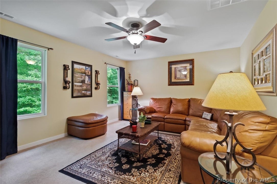 177 Braddock Road Williamsburg, VA 23185 - Photo 19 of 30 Gallery Image 19
