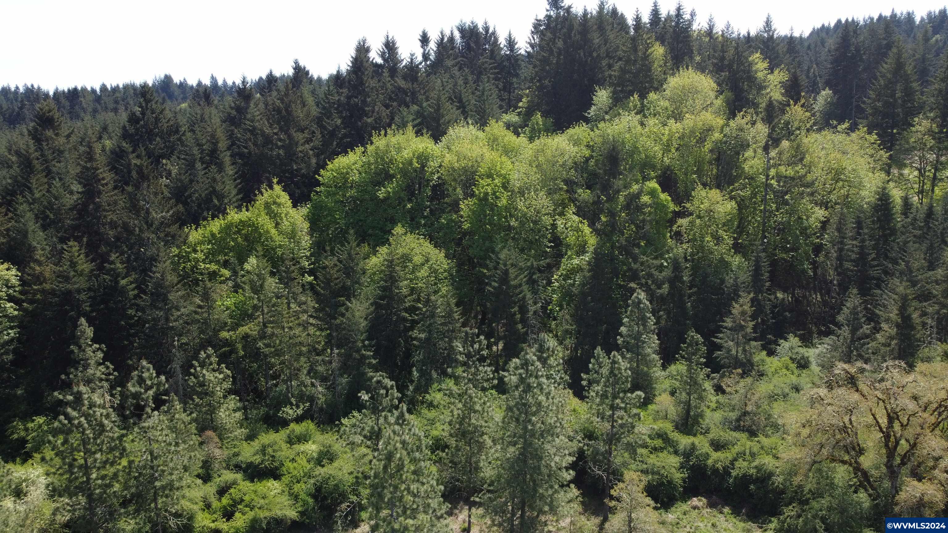 43458 Rogers Mountain Road Scio, OR 97374 - Photo 18 of 19