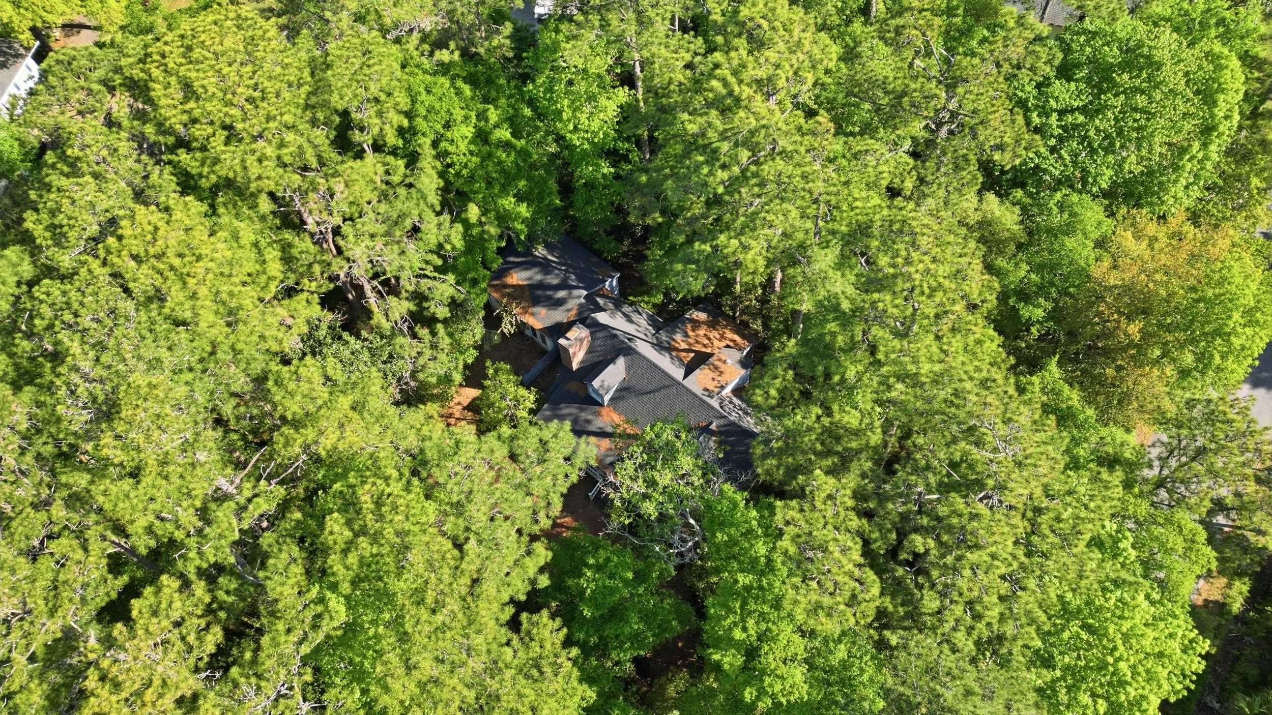 36 County Rd S-22-426 Pawleys Island, SC 29585 - Photo 3 of 5
