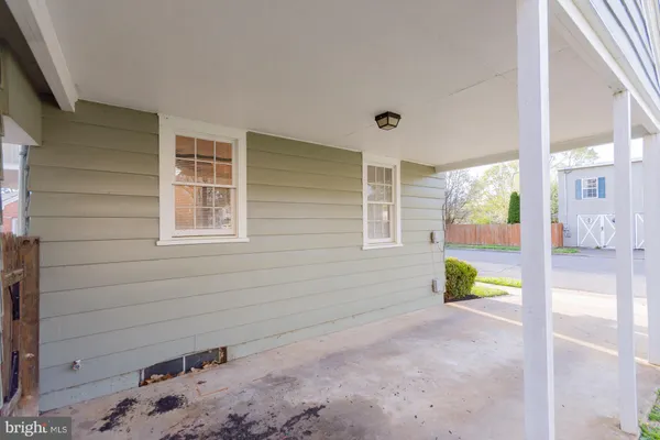 a view of backyard with a garden and plants