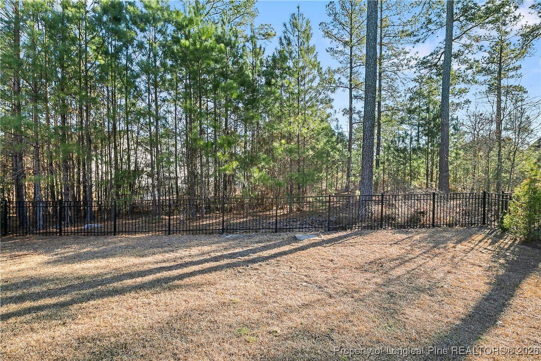 459 Timber Skip Drive Spring Lake, NC 28390 - Photo 47 of 49