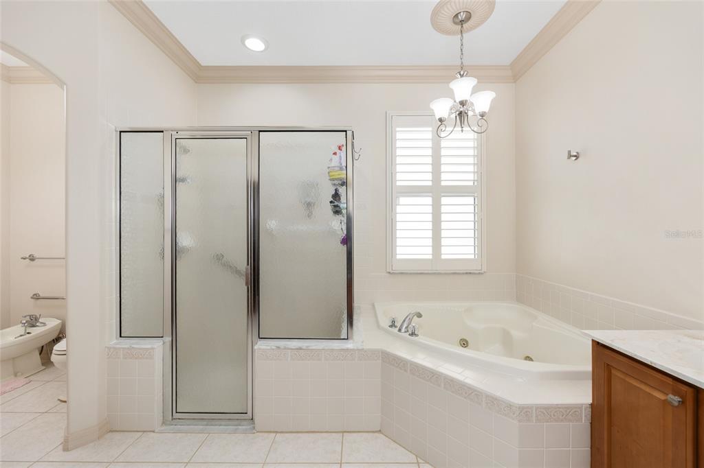 15694 Southwest 16th Avenue Road Ocala, FL 34473 - Photo 23 of 42 a bathroom with a tub a sink and a shower