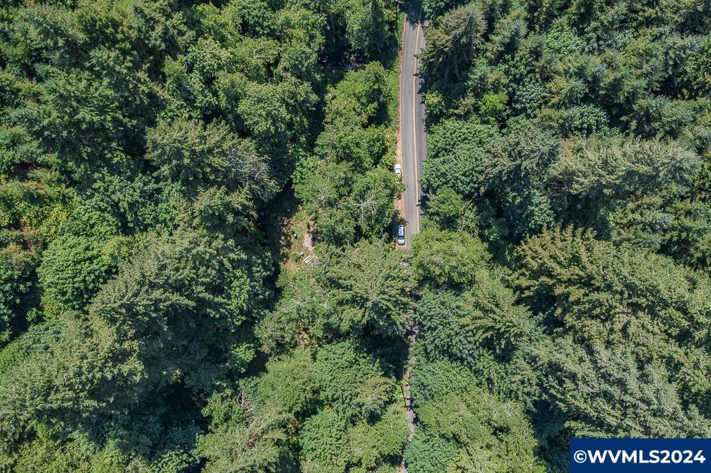 12860 Gilbert Creek Road Willamina, OR 97396 - Photo 5 of 38