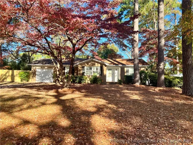 a view of a yard with a tree