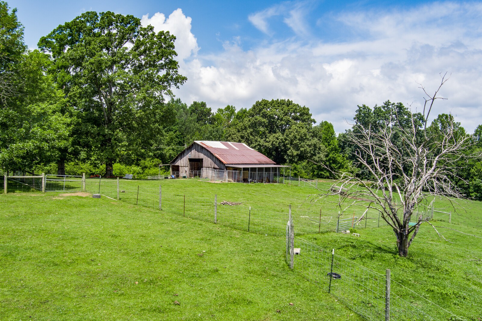 3708 3 Island Road Walling, TN 38587 - Photo 22 of 32 Gallery Image 22