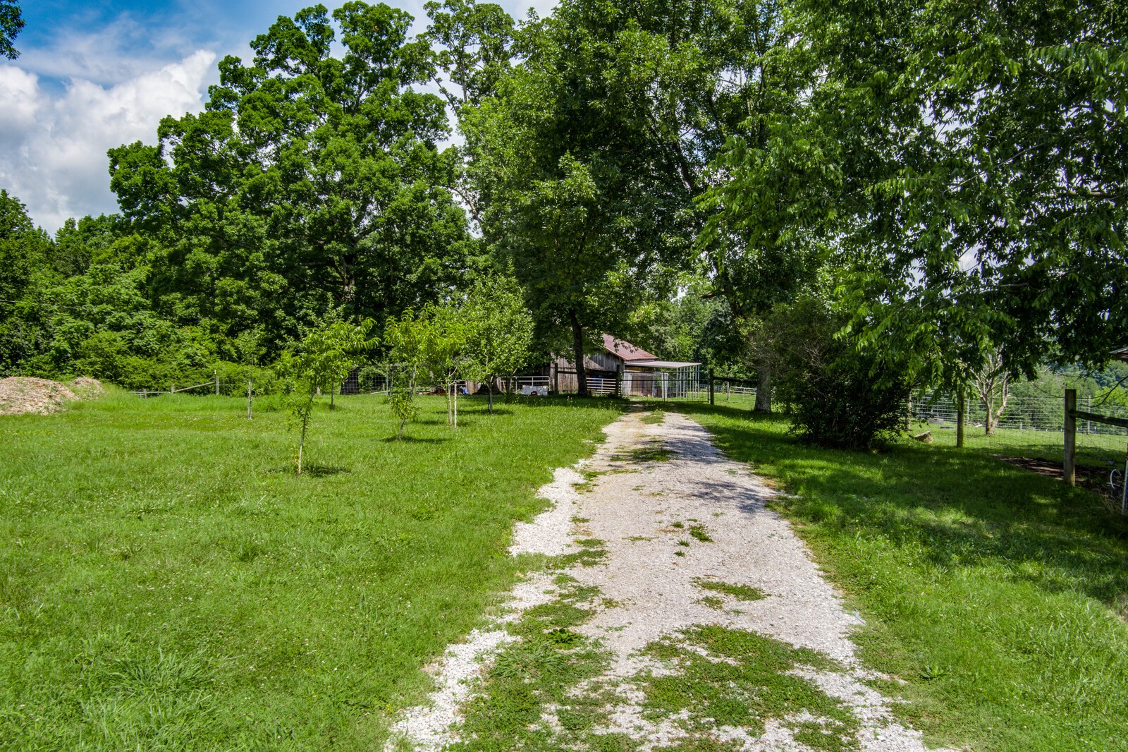 3708 3 Island Road Walling, TN 38587 - Photo 29 of 32 Gallery Image 29