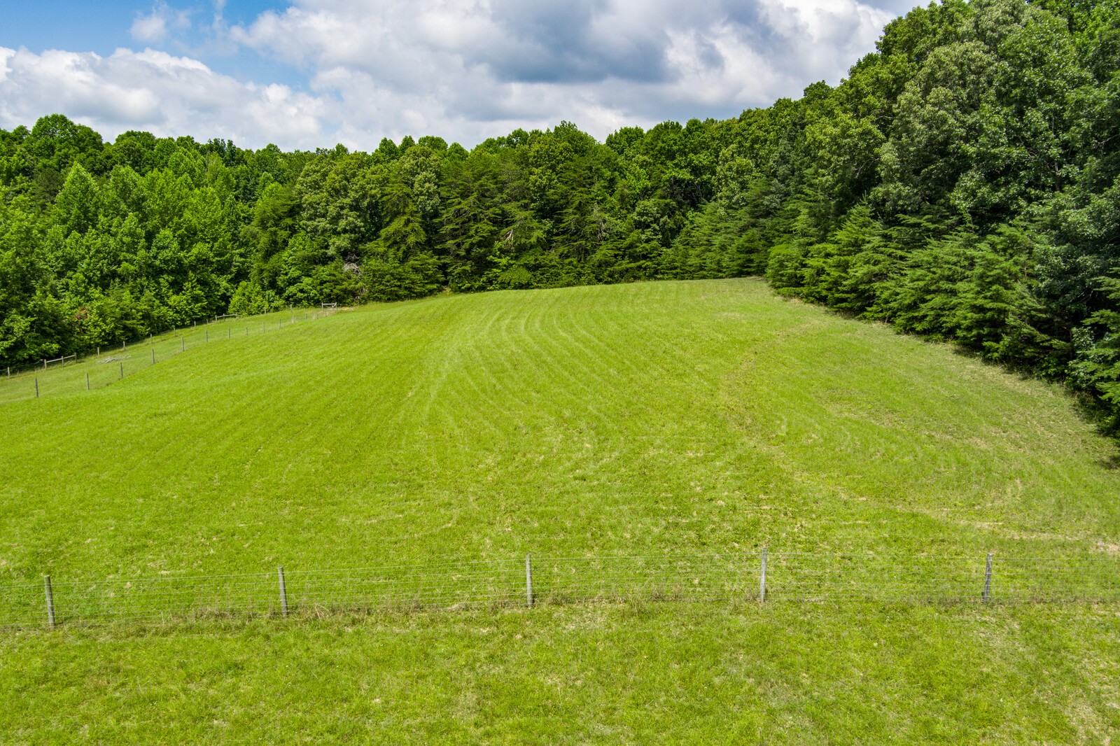 3708 3 Island Road Walling, TN 38587 - Photo 6 of 32 Gallery Image 6