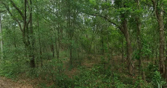 $69,999 | 8856 North Himalayas Point, Dunnellon, FL 34433