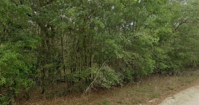 $69,999 | 8856 North Himalayas Point, Dunnellon, FL 34433