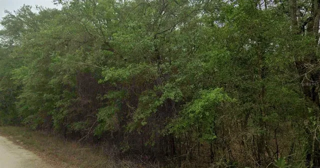 $69,999 | 8856 North Himalayas Point, Dunnellon, FL 34433