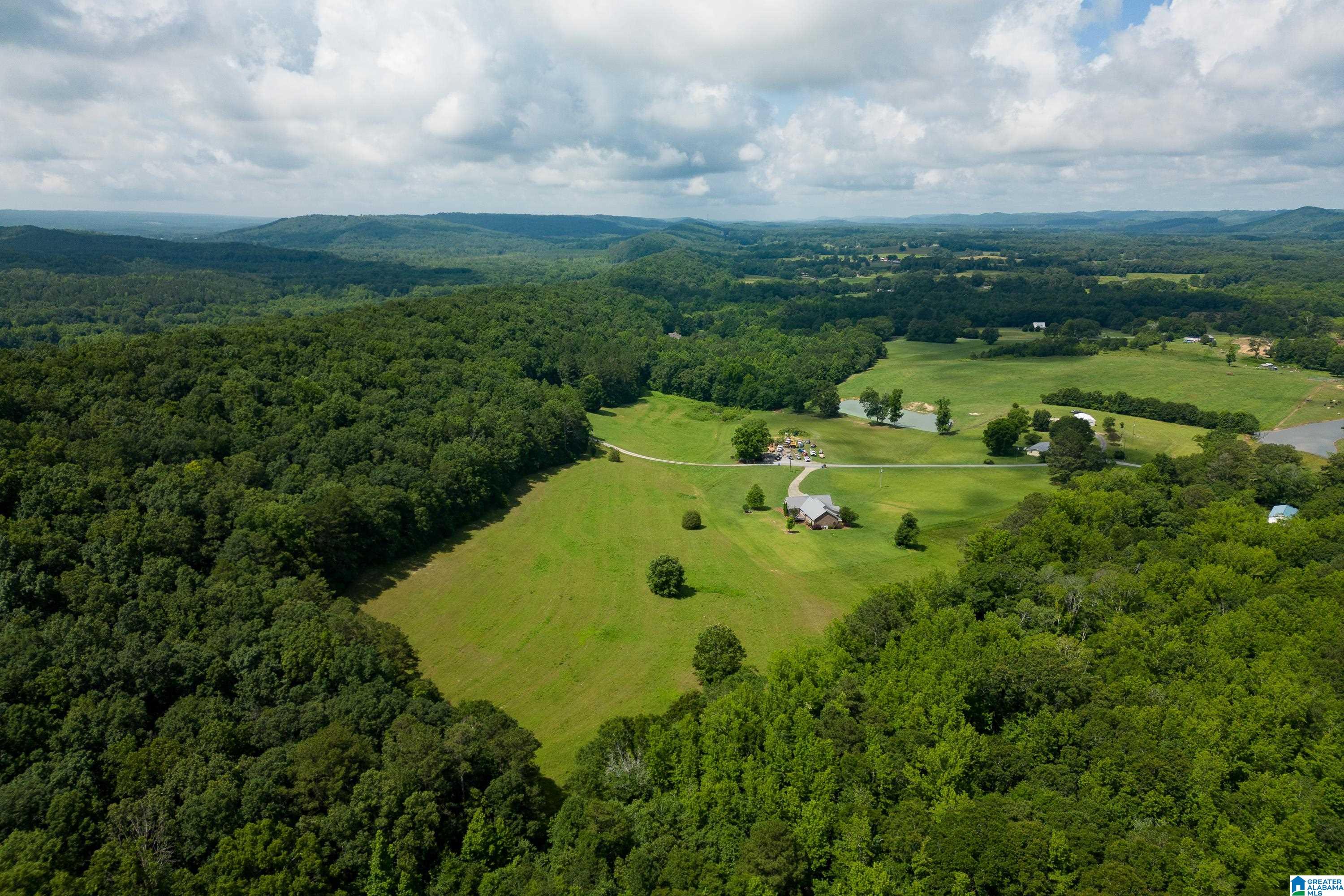 4599 Reagan Road Altoona, AL 35952 - Photo 55 of 57