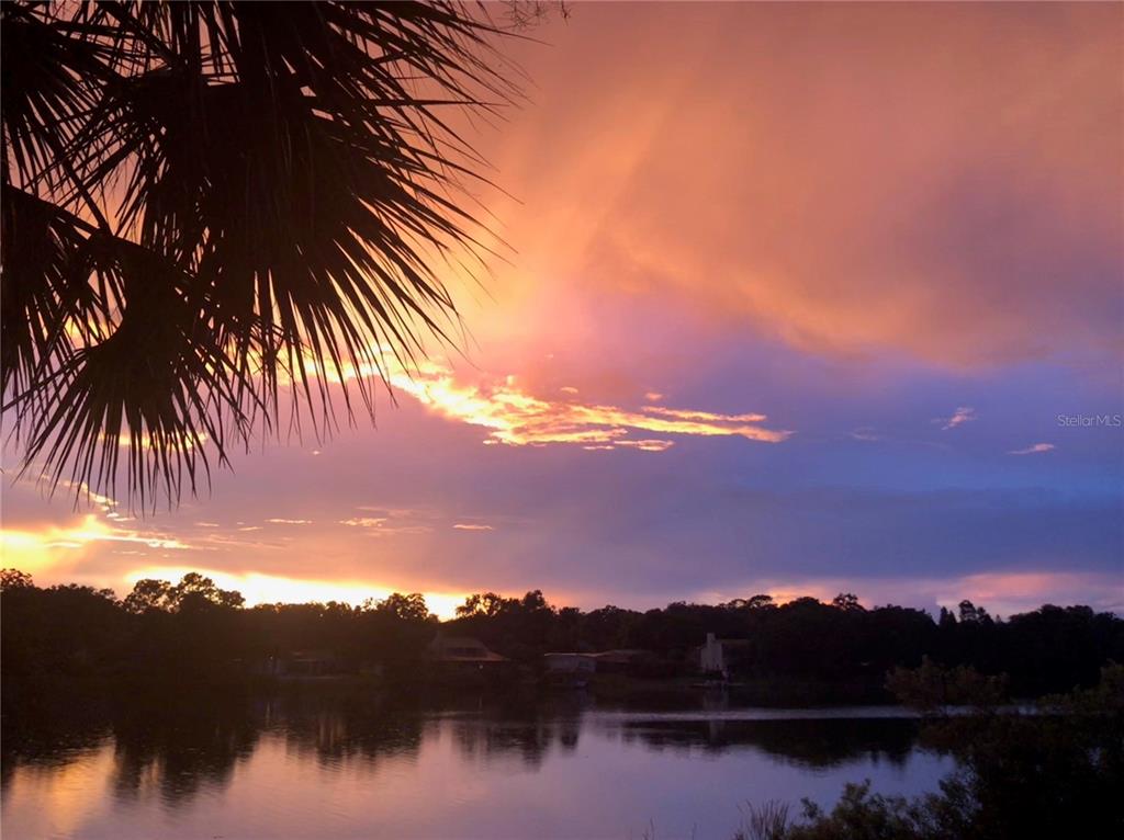 1920 East Edgewood Drive, Unit R8 Lakeland, FL 33803 - Photo 19 of 30