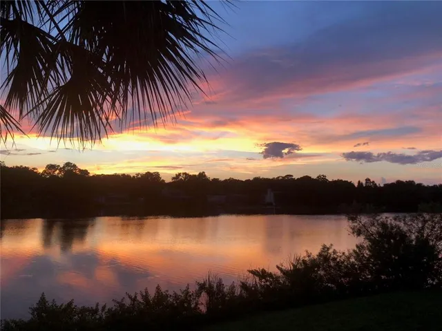 a view of lake from yard