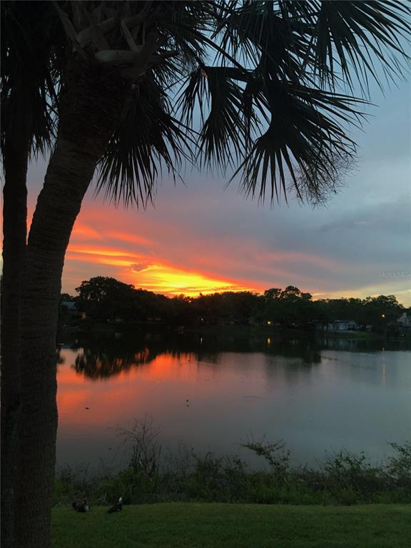 1920 East Edgewood Drive, Unit R8 Lakeland, FL 33803 - Photo 21 of 30 a view of lake from yard