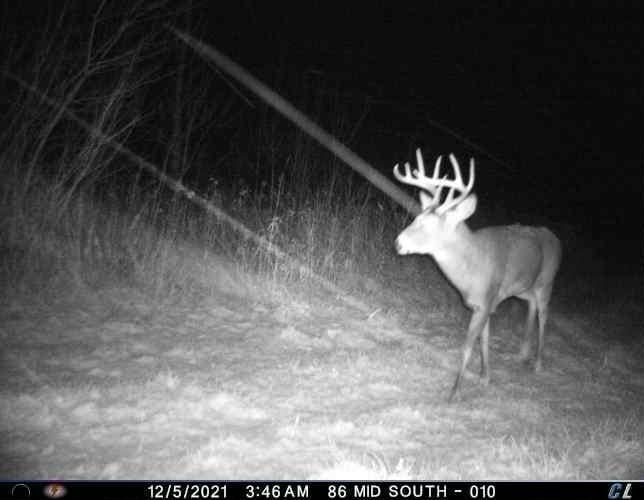 Lot Homestead Homestead Road Conrath, WI 54731 - Photo 10 of 17 Gallery Image 10