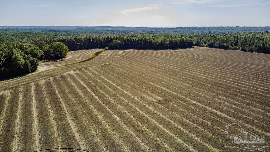 3 A Segrest Road Pace, FL 32571 - Photo 2 of 12 a view of outdoor space and yard