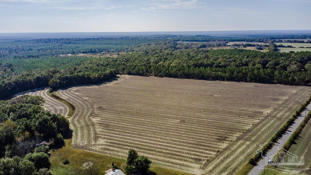3 A Segrest Road Pace, FL 32571 - Photo 8 of 12 a view of a dry yard with trees