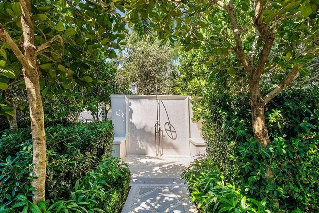 a view of a outdoor space with a tree