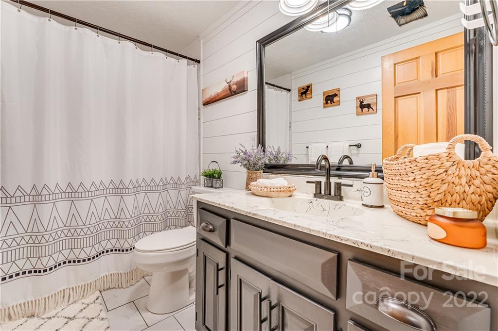1305 Old Balsam Road Waynesville, NC 28786 - Photo 23 of 42 a bathroom with a granite countertop sink and a mirror with toilet