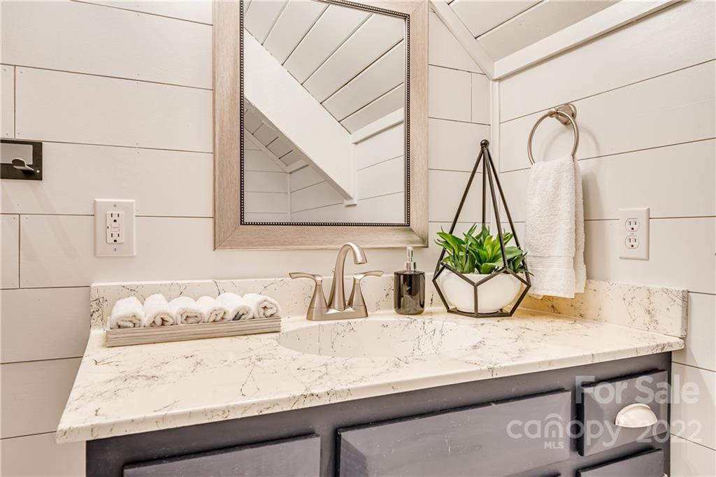 1305 Old Balsam Road Waynesville, NC 28786 - Photo 27 of 42 a bathroom with a granite countertop sink and a potted plant