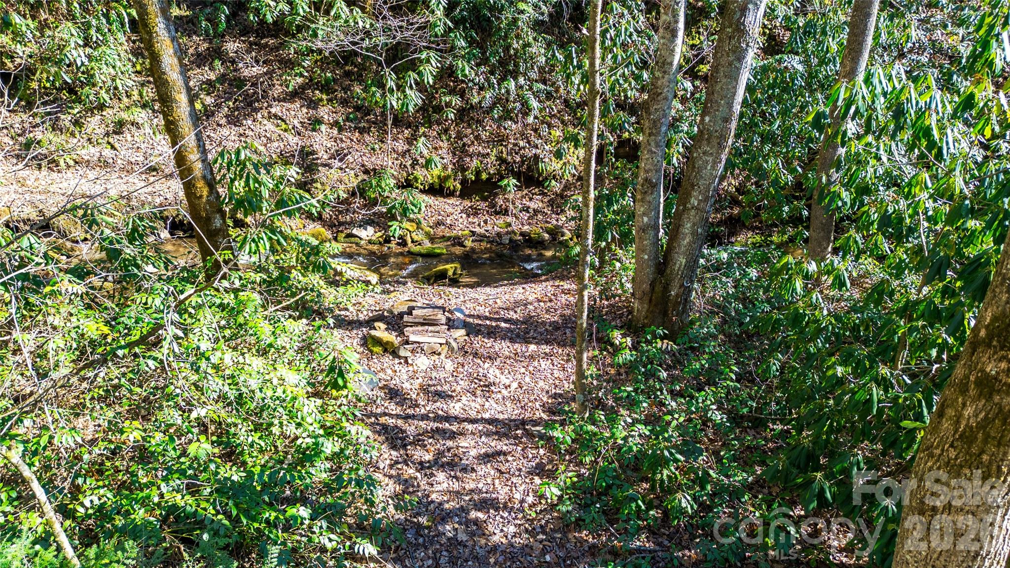 3458 Dicks Creek Road Whittier, NC 28789 - Photo 15 of 36
