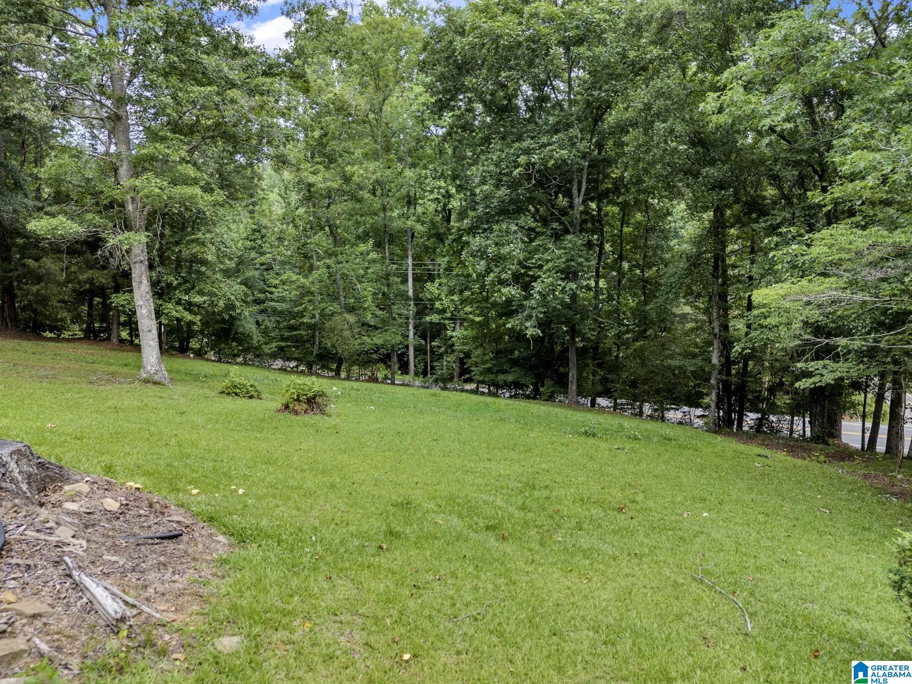 15920 Highway 160 Cleveland, AL 35049 - Photo 37 of 57