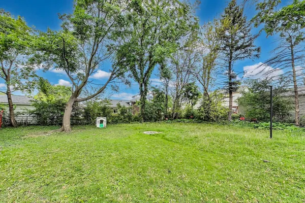 a view of a grassy field with trees
