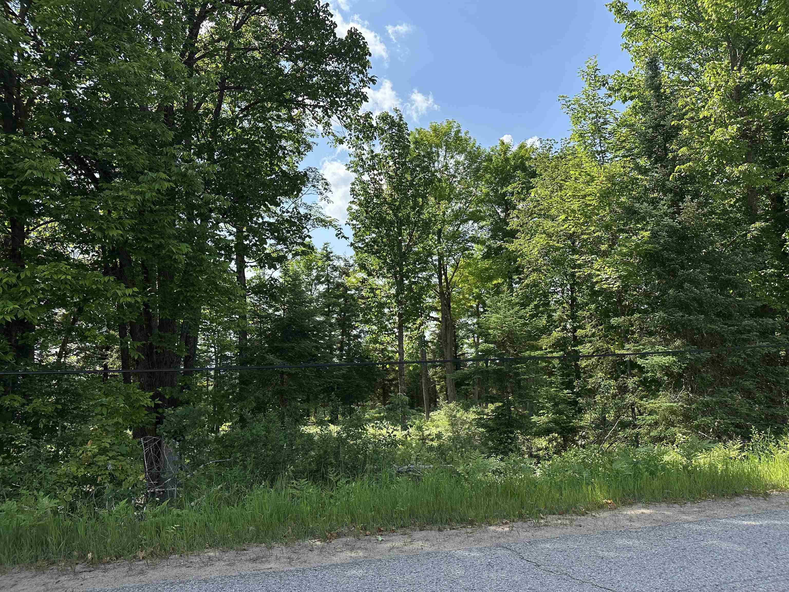 N17375 Co Road Hermansville, MI 49847 - Photo 3 of 26