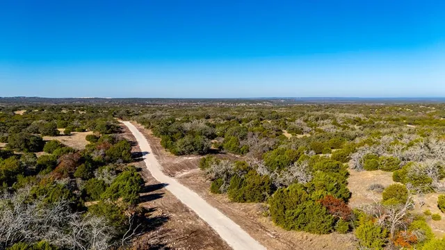 a view of a bunch of trees and bushes