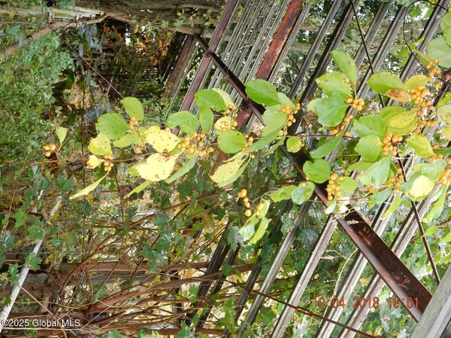 $285,000 | 143 Main Street, Maryland, NY 12155