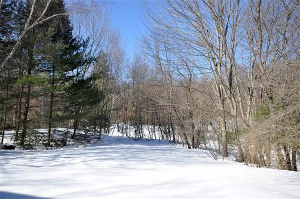 42 Buckmaster Drive Concord, MA 01742 - Photo 16 of 16