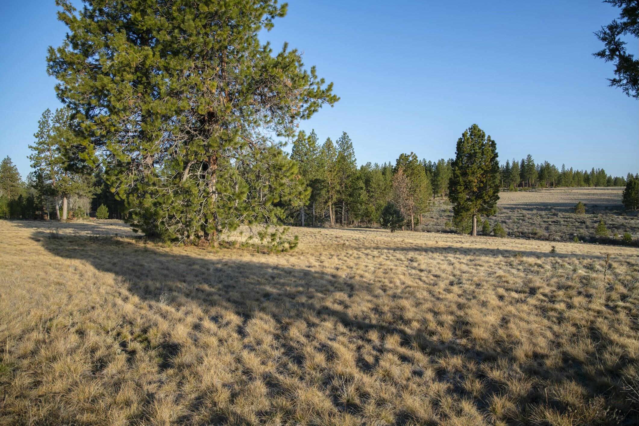 18715 Macalpine Loop, Unit 37 Bend, OR 97702 - Photo 14 of 36 Gallery Image 14
