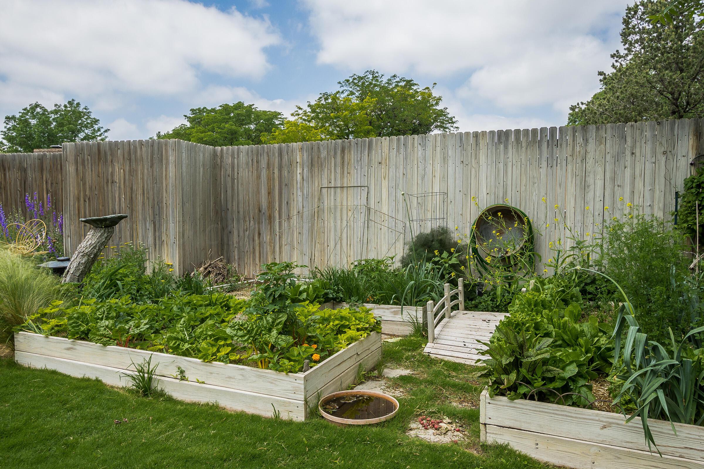 3503 Kileen Drive Amarillo, TX 79109 - Photo 33 of 36 035_Garden