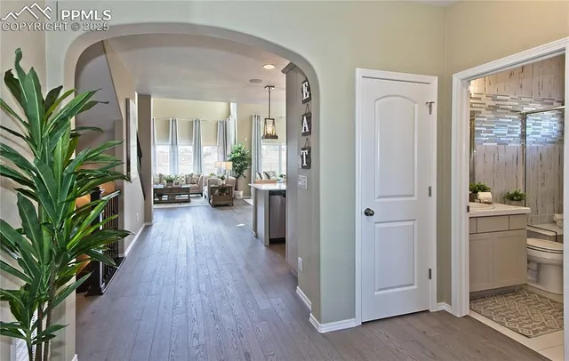 a view of a hallway with wooden floor and a potted plant