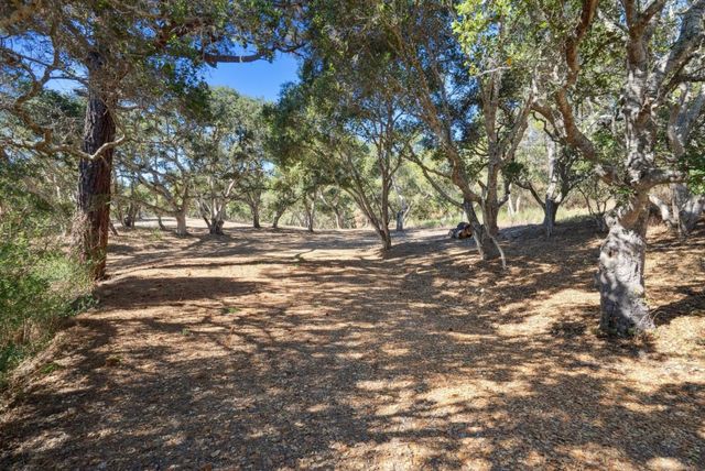 a view of a road with trees in the background