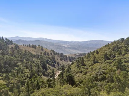 a view of a lush green field with mountains in the background