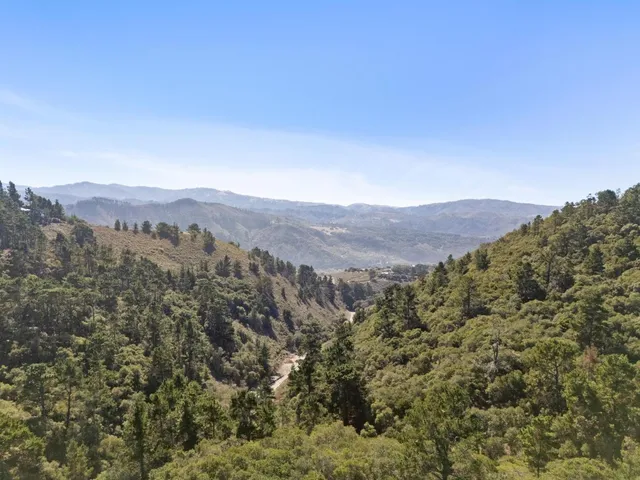 a view of a lush green field with mountains in the background