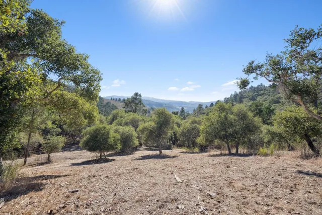 a view of a yard with a tree