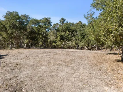 a view of yard covered with snow