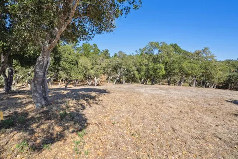 a view of mountain view with large trees