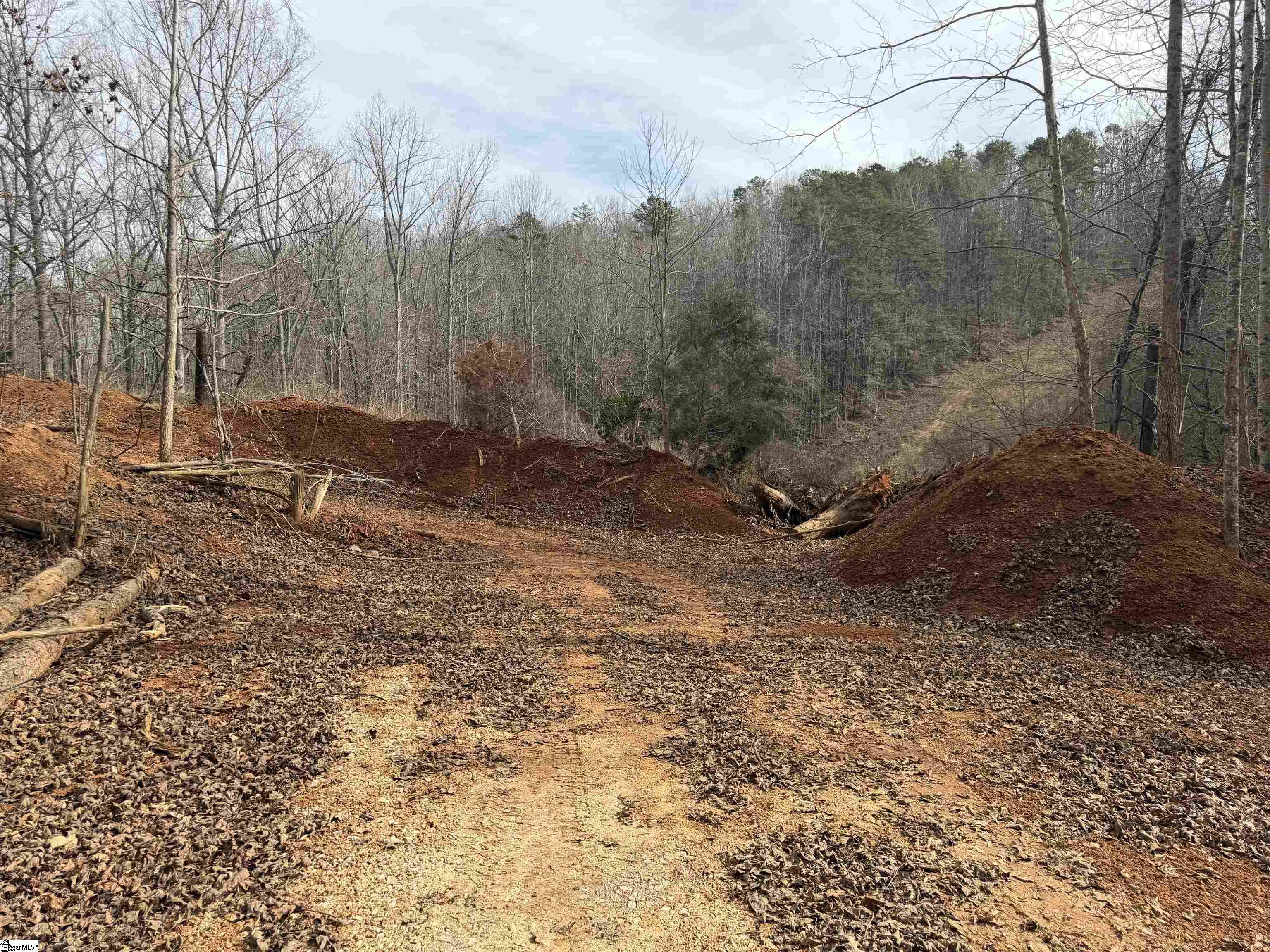 110 Sawmill Road, Unit 10 SAWBLADE RIDGE (ADDRESS WAS CHANGED RECENTLY) Marietta, SC 29661 - Photo 11 of 19