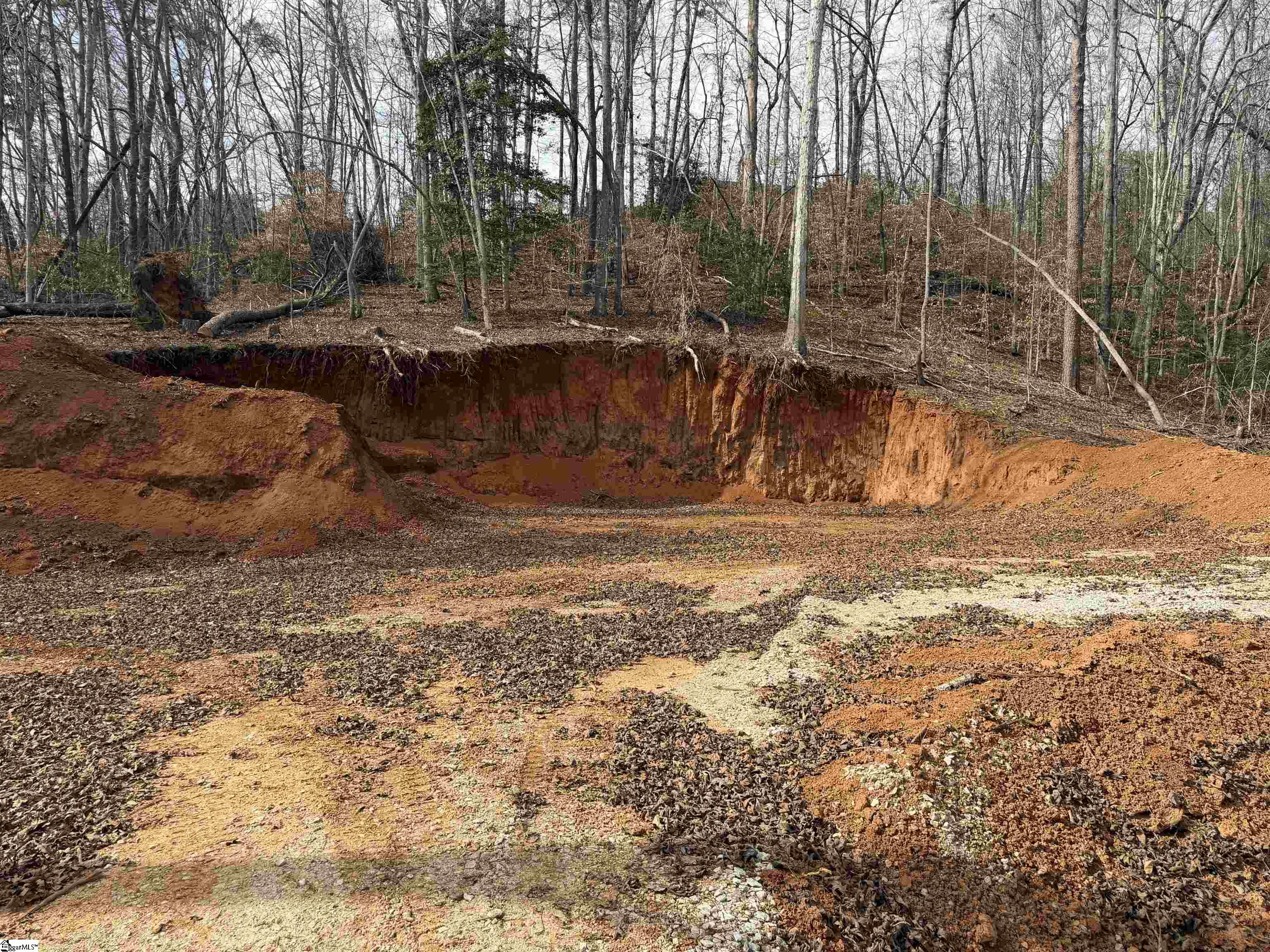 110 Sawmill Road, Unit 10 SAWBLADE RIDGE (ADDRESS WAS CHANGED RECENTLY) Marietta, SC 29661 - Photo 12 of 19