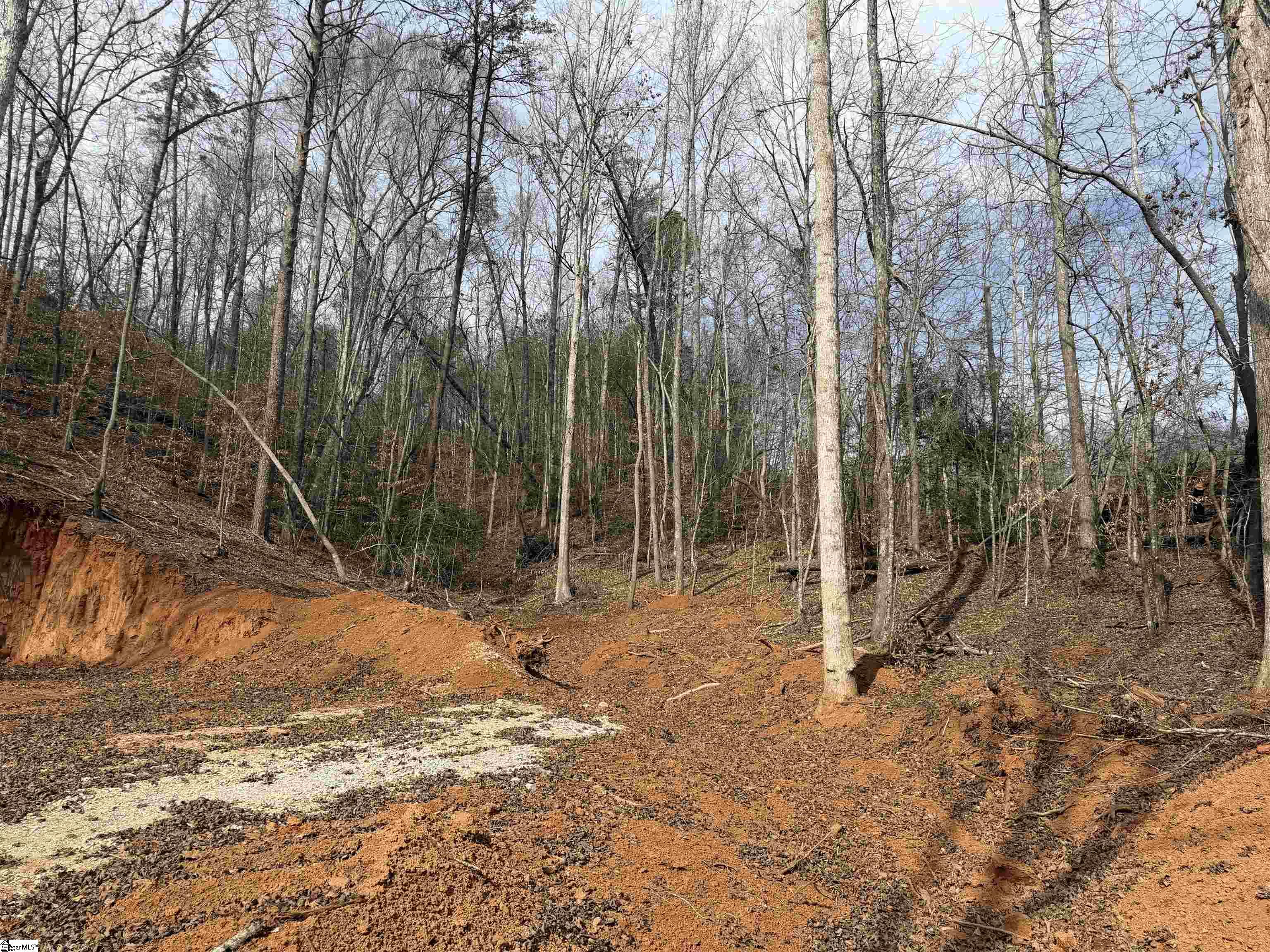 110 Sawmill Road, Unit 10 SAWBLADE RIDGE (ADDRESS WAS CHANGED RECENTLY) Marietta, SC 29661 - Photo 13 of 19