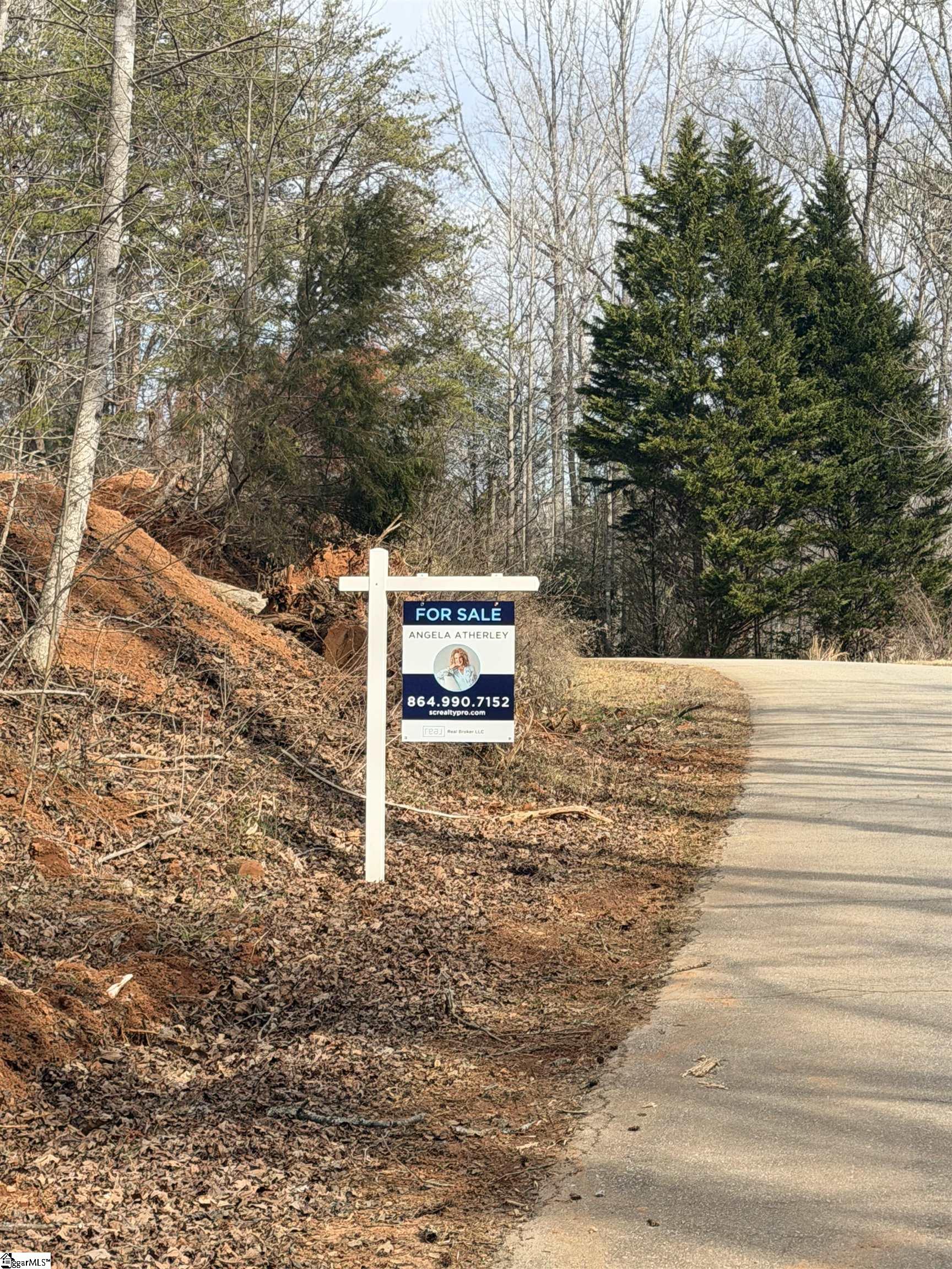 110 Sawmill Road, Unit 10 SAWBLADE RIDGE (ADDRESS WAS CHANGED RECENTLY) Marietta, SC 29661 - Photo 14 of 19