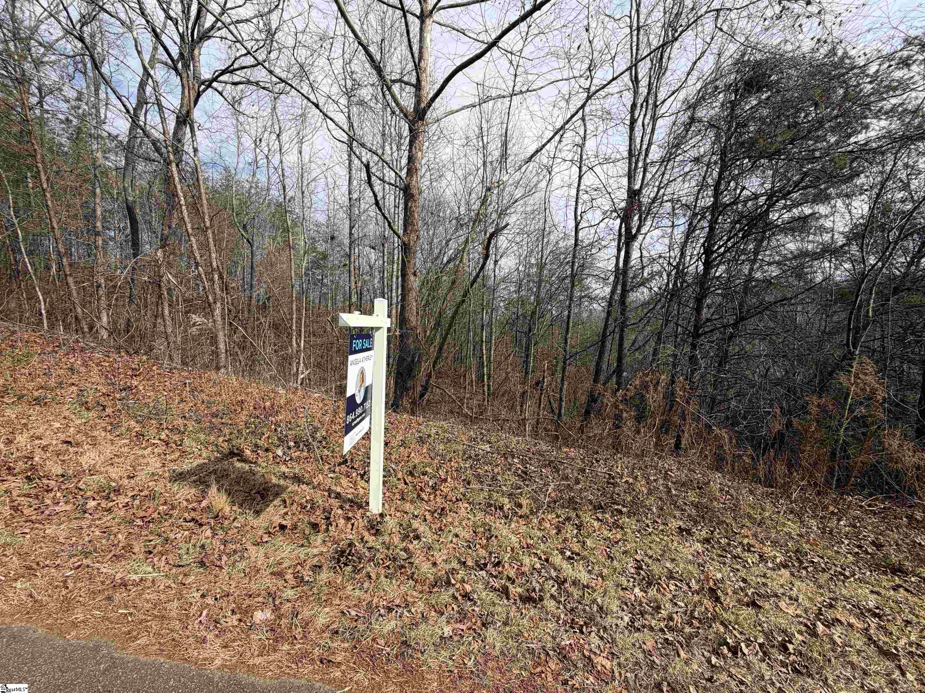 110 Sawmill Road, Unit 10 SAWBLADE RIDGE (ADDRESS WAS CHANGED RECENTLY) Marietta, SC 29661 - Photo 15 of 19